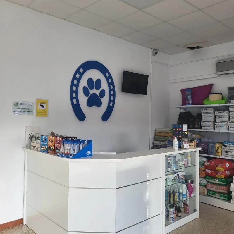 Vitrina de cubos de vidrio sobre mostrador para accesorios